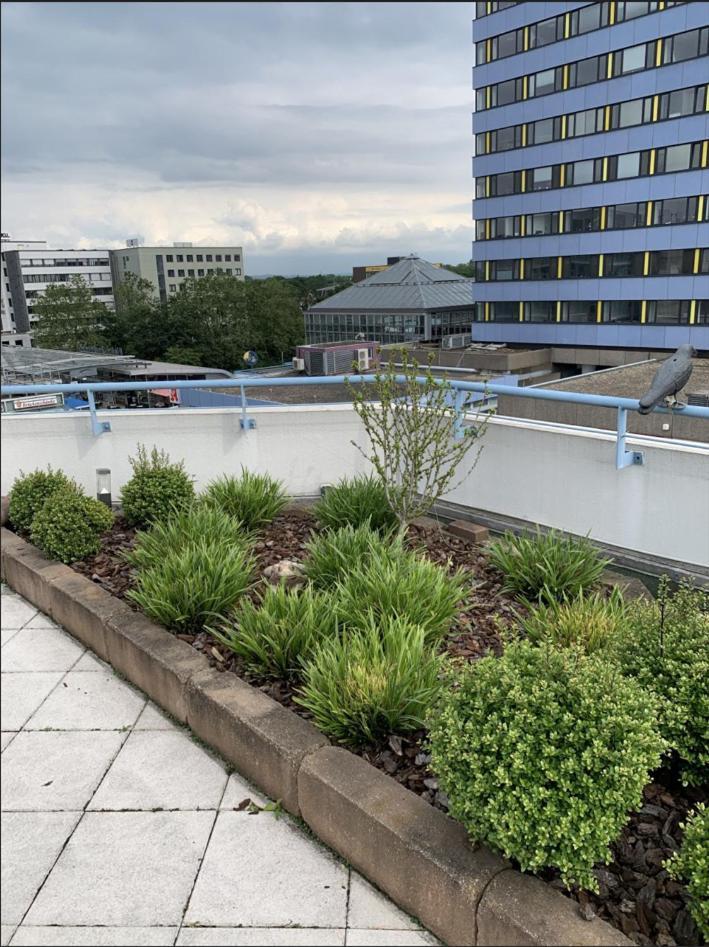 Im Herzen Von Wiesdorf- Blick Auf Das Bayer-Kreuz -Appartement Mit 2 Schlafzimmern-Fuer 3 Personen -Zentral Gelegen - Friedrich Ebert Platz 5A , 4Te Etage - Dachterrasse Und Sauna - Kaution Pflicht - Leverkusen Bagian luar foto